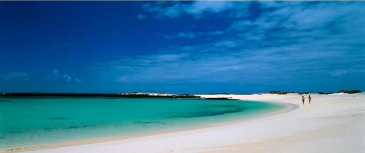 Cotillo Corralitos En El Mar Estudios